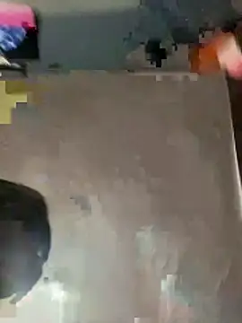 Snapshot of Soxphiixaa chatting on March 3, 2026, 4:30 am Soxphiixaa online show from March 3, 2026, 4:30 am