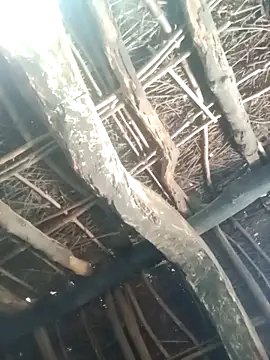 Manu mehta online show from March 31, 2026, 4:58 am