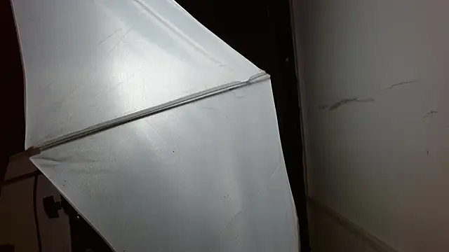 Snapshot of Miss_Merrie chatting on March 2, 2026, 10:11 am Miss Merrie online show from March 2, 2026, 10:11 am