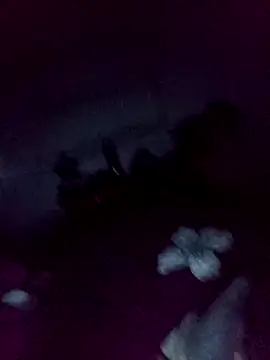 Snapshot of loveofpetitegirls34 chatting on February 13, 2026, 3:28 am loveofpetitegirls34 online show from February 13, 2026, 3:28 am