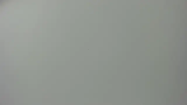 Raven love online show from April 28, 2026, 5:17 pm