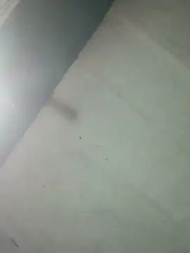 Hot ras28 online show from February 20, 2026, 9:28 pm