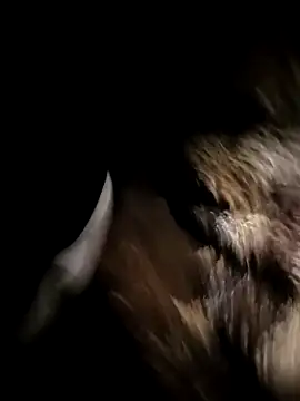 Snapshot of Nonamebadboy7 chatting on March 18, 2026, 4:15 am Nonamebadboy7 online show from March 18, 2026, 4:15 am