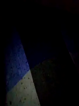 Snapshot of Talkwithsex chatting on February 9, 2026, 11:47 pm Talkwithsex online show from February 9, 2026, 11:47 pm