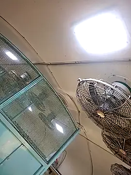 Snapshot of Talkwithsex chatting on February 4, 2026, 2:39 am Talkwithsex online show from February 4, 2026, 2:39 am