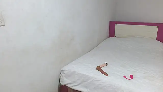 HELETRAS online show from February 24, 2026, 10:05 am