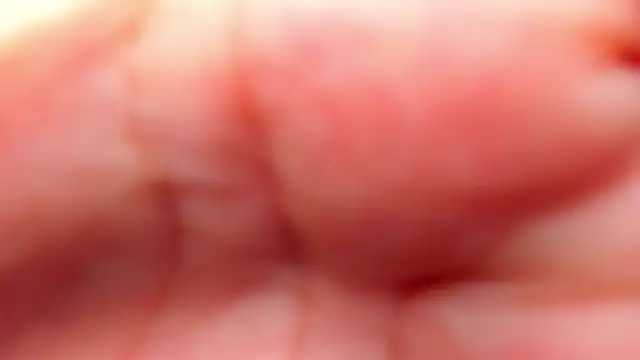 RinaFox   online show from February 21, 2026, 1:18 am