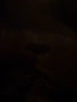 Tommyzzzzzz online show from October 3, 2025, 7:48 pm