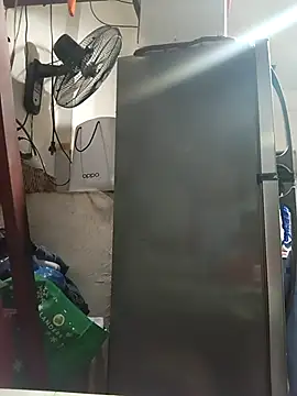 Wildcam21 online show from March 3, 2026, 11:17 am