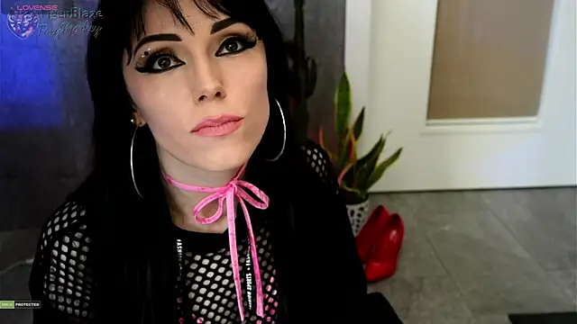 Snapshot of TigerBlazeFoxyMonkey chatting on May 1, 2026, 1:49 pm TigerBlazeFoxyMonkey online show from May 1, 2026, 1:49 pm