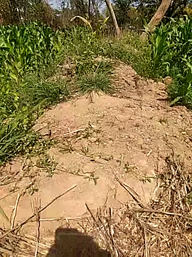 imasanju online show from February 10, 2026, 6:23 am