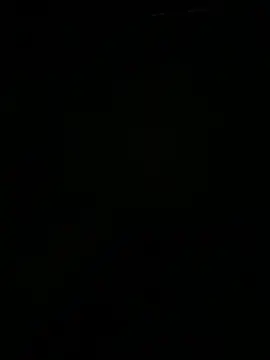 stallone italiano 62 online show from February 12, 2026, 6:35 am