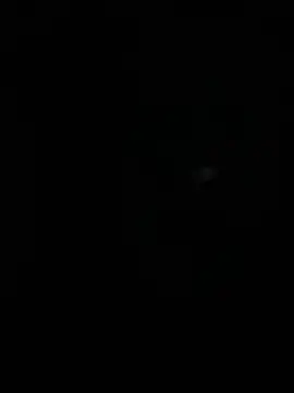 stallone italiano 62 online show from April 10, 2026, 4:41 am