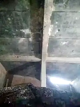 Loomaraj online show from April 11, 2026, 1:04 pm