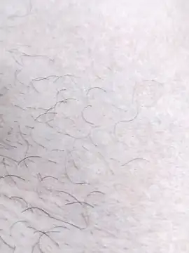 Bangladeshi big online show from April 17, 2026, 6:22 pm