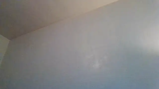 Snapshot of Tallhungandcloudy chatting on February 19, 2026, 8:28 pm Tallhungandcloudy online show from February 19, 2026, 8:28 pm