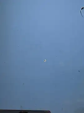 mondacuo3000 online show from February 19, 2026, 10:45 am