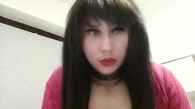 Sissy Boypussy online show from February 17, 2026, 11:13 pm