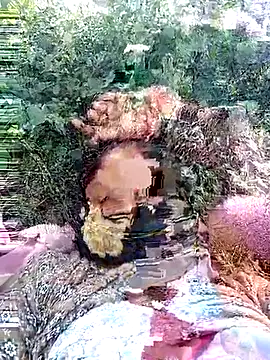 Pallavi hote online show from February 28, 2026, 6:13 am