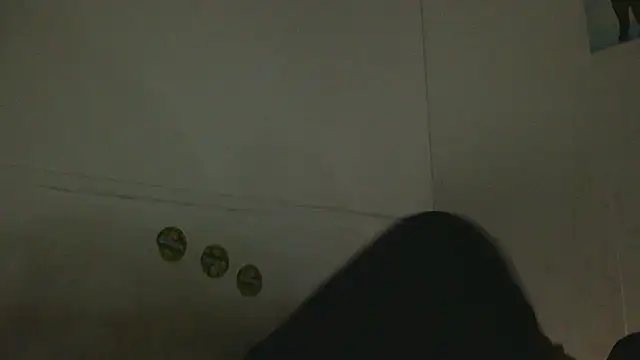 Snapshot of pbilip7787 chatting on February 25, 2026, 9:47 pm pbilip7787 online show from February 25, 2026, 9:47 pm