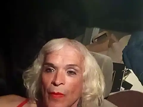 Snapshot of dustbunny64 chatting on March 21, 2026, 10:09 am dustbunny64 online show from March 21, 2026, 10:09 am