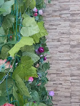 Snapshot of Roma_xxx chatting on February 14, 2026, 10:21 pm Roma xxx online show from February 14, 2026, 10:21 pm