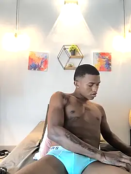 Snapshot of hanssmitt chatting on February 27, 2026, 7:14 pm hanssmitt online show from February 27, 2026, 7:14 pm