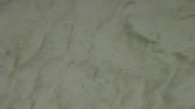 Snapshot of CrazyTo chatting on February 21, 2026, 10:06 am CrazyTo online show from February 21, 2026, 10:06 am