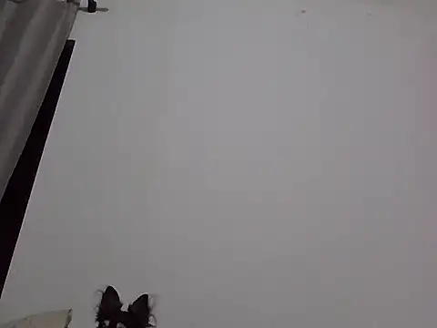 machodotado97 online show from March 2, 2026, 5:41 am