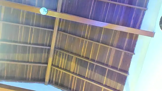 Snapshot of TonyPetrovjs chatting on February 26, 2026, 5:51 am TonyPetrovjs online show from February 26, 2026, 5:51 am