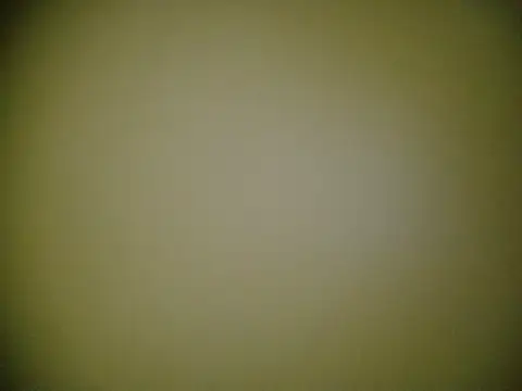 Susu-bae online show from March 1, 2026, 1:44 pm