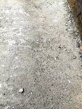 sarkarsurajitmmm online show from April 3, 2026, 3:57 am