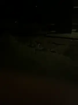 Snapshot of princessandthefootjob chatting on March 31, 2026, 4:36 am princessandthefootjob online show from March 31, 2026, 4:36 am