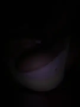 Snapshot of Kiara_XOX chatting on February 24, 2026, 2:45 am Kiara XOX online show from February 24, 2026, 2:45 am