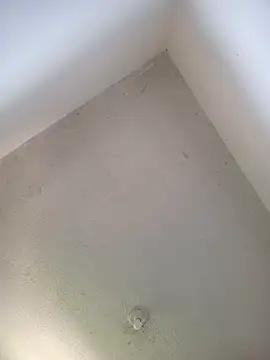 priscilaf online show from April 19, 2026, 11:55 am