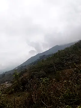 lyly sexx online show from March 7, 2026, 3:13 am