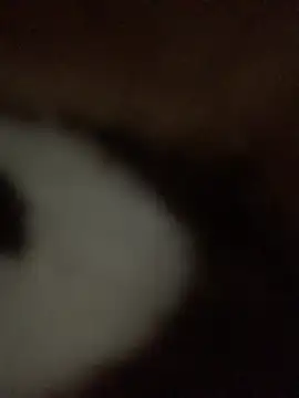 Snapshot of Dvsher10 chatting on July 19, 2026, 6:22 am Dvsher10 online show from July 19, 2026, 6:22 am