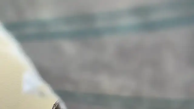 the-gen-xxx online show from March 17, 2026, 11:08 pm