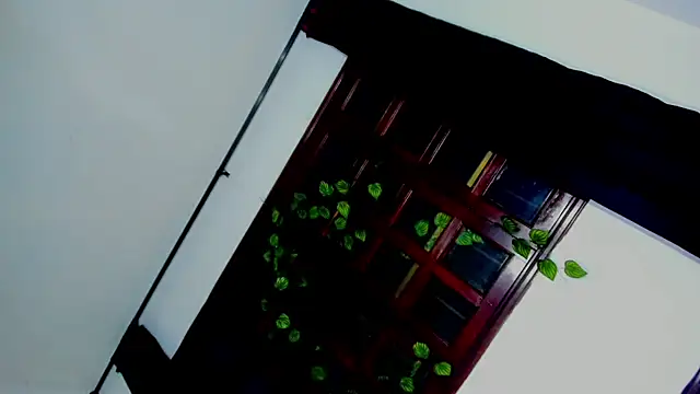 laaura dolll online show from April 6, 2026, 5:30 am