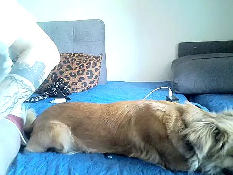 SirNefastus online show from April 13, 2026, 5:11 am