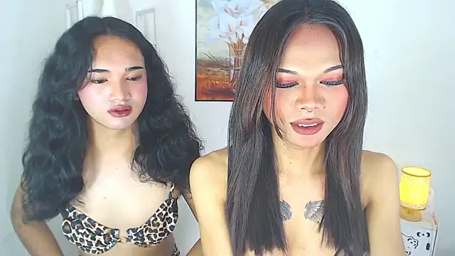 MaterialDuoTransxxx online show from March 9, 2026, 5:22 am