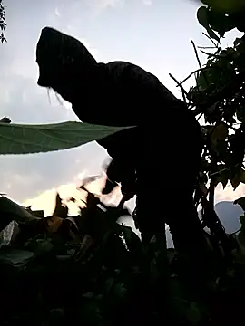 Bling-pusy online show from April 8, 2026, 11:33 am