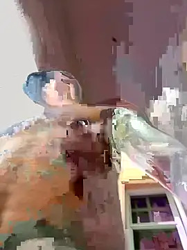 Johnbtte online show from March 27, 2026, 11:00 am