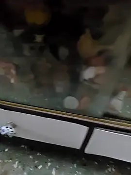 Andrealexander30 online show from April 13, 2026, 1:26 pm