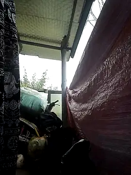 Sanq58 online show from March 12, 2026, 6:50 am