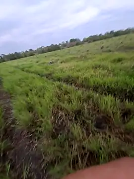 Snapshot of biker257 chatting on March 12, 2026, 11:14 am biker257 online show from March 12, 2026, 11:14 am