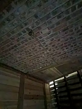 cute-girl-2k online show from March 17, 2026, 1:52 am