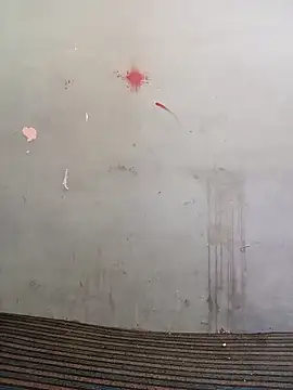 School teacher12 online show from April 18, 2026, 8:16 am