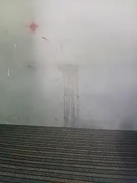 School teacher12 online show from March 19, 2026, 8:36 am