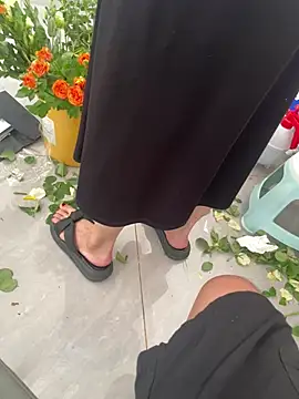 haotian8898 online show from July 25, 2026, 5:37 am